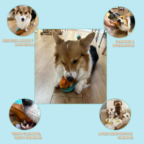 Squeaky Latex Dinosaur Egg Dog Toy, Soft Rubber Puppy Chew Squeaky Toys,Fetch Interactive Play Balls Toy for Puppy Small Medium Large Pets Dog...