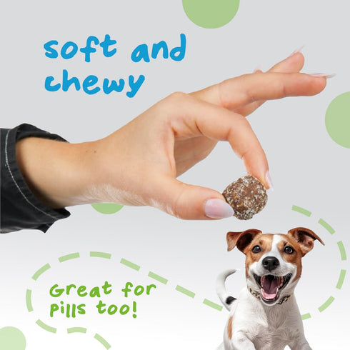 Dog Training Treats | Healthy Low Calorie Dog Treat | Vegan Dog Snacks | Small Dogs Medium Dogs Large Dogs | Mango Chia Spinach Coconut Coated | 1...