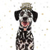 MR. CHUBBYFACE Winter Dog Collar Adjustable Christmas Pet Collar Black Fleece Dog Collar for Small Medium Large Dogs...