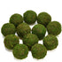 BYHER Natural Green Moss Decorative Ball,Handmade (2"-Set of 12)...