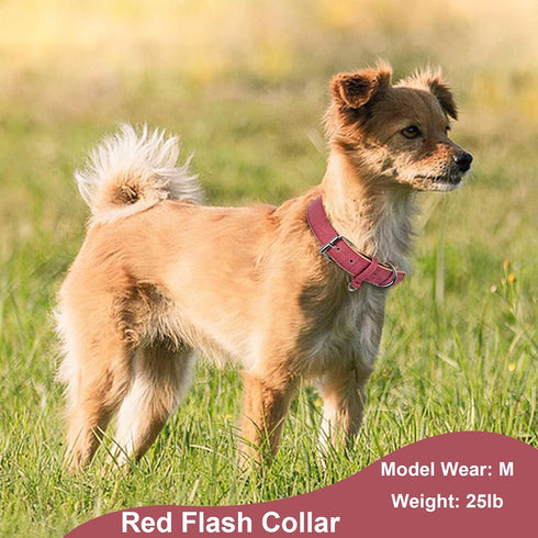 Small Dog Collar Girl Boy, Dog Collar for Small Medium Large Dogs, Puppy Collars Chihuahua Collar Adjustable Pet Cat Collar Pink Collar Para Perro...