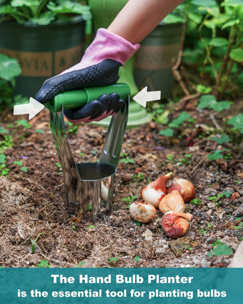 Bulb Planter Garden Tool with Release Button&4Inch Measurements Tulip Planting Tool Bulb Transplanter Bulb Digger for Removing Soil And Planting B...