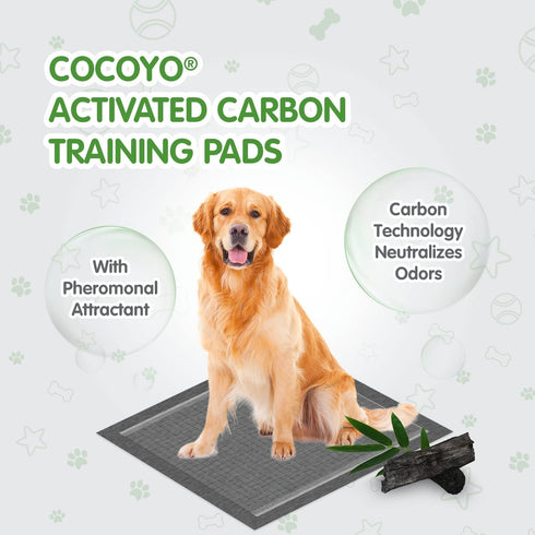 COCOYO Dog Training Pads Extra Large Size?Carbon Absorb Eliminating Urine Odor Puppy Pads ? Premium Charcoal Dog Pee Pads (40 Count, XXL 30x36 inc...