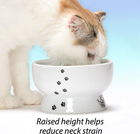 Necoichi Raised Cat Water Bowl, Elevated, with Measurement Lines, Dishwasher and Microwave Safe, No.1 seller in Japan! (Cat, Regular)...