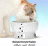 Necoichi Raised Cat Water Bowl, Elevated, with Measurement Lines, Dishwasher and Microwave Safe, No.1 seller in Japan! (Cat, Regular)...