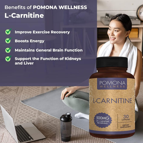 Pomona Wellness L- Carnitine, Helps Boost Metabolism, Supports Cognitive Health Cardiovascular Functions and Metabolic Health, 500mg Per Serving, ...