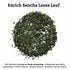 SUGIMOTO TEA Japanese Sencha Green Tea Loose Leaf 3.5 oz (100 g) Pack of 1...
