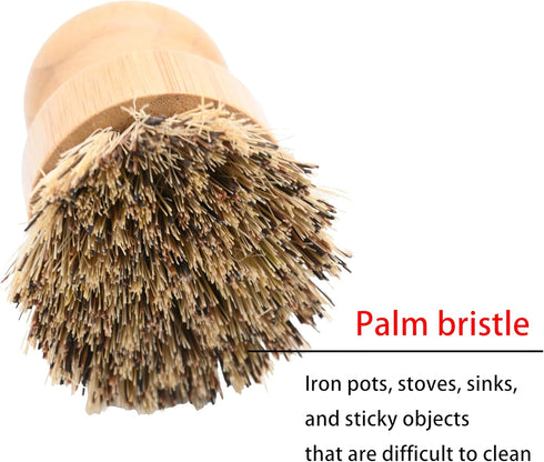 Bamboo Dish Brush, Kitchen Dish Brush Set for Cleaning Dishes, Sinks, Cast Iron Pots/Pan and Vegetables, Palm Bristle and Bamboo Grip - 1 Piece + ...