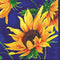 IHR Ideal Home Range Cocktail Napkins Disposable 3-Ply Paper Party Napkin Pack, 5" x 5", Sunshine, 20-Count...