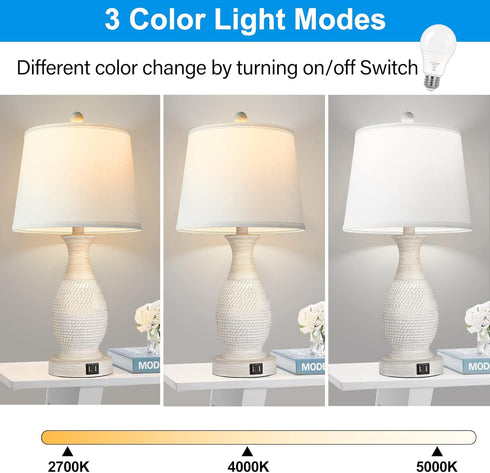 PARTPHONER A19 LED Light Bulbs, 60W Equivalent Efficient 9W LED Bulb, 3 Color Light Modes Light Bulbs, 900 Lumens, CRI 85+, 25000+ Hours Lifespan,...