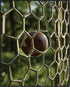 Posterizer 1 pcs-close-up of a ball hitting the football goal net-Sports & Hobby Art Gifts for sports fans Decor for Home & Office- unframed wall ...