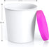 BALCI - Premium Ice Cream Containers (2 Pack - 1 Quart Each) Perfect Freezer Storage Tubs with Lids for Ice Cream, Sorbet and Gelato! - Pink...