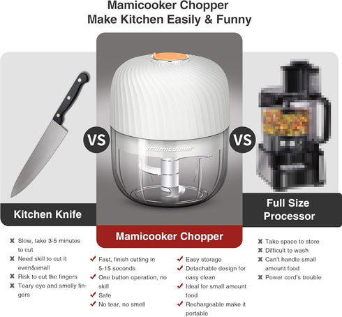 Electric Garlic Chopper, Mini Portable Veggie Chopper, 250ML Garlic Grinder Masher Onion Chopper, Blender to Vegetable, Wireless Food Processor fo...