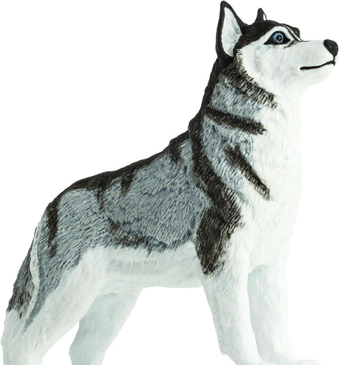 Safari Ltd. Siberian Husky Figurine - Detailed 3.25" Plastic Model Figure - Fun Educational Play Toy for Boys, Girls & Kids Ages 3+...