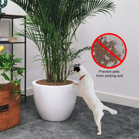 2Pack Plant Pot Grid, Cuttable Flower Pot Soil Cover Protectors with Deep Stakes, Dogs, Cats Digging Stopper, Plant Grid Pot Cover, 19cm/7.5in Dia...