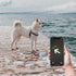 2pcs Airtag Dog Collar Holder, Waterproof Silicone Case for GPS Tracker Scratch-Resistant Protective Airtag Case Air Tag Holder for Dogs Cats Pet ...
