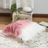 David's Home Faux Fur Throw Pillow Cover, 1-Packed, Decorative Fluffy Pillowcase 18 x 18 Inches, Luxury Square Cushion Cover for Bed Couch Sofa Li...