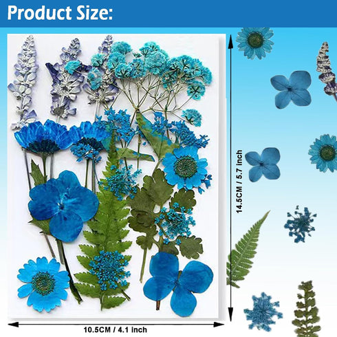 Flowers for Resin Model, Real Pressed Flowers Dry Leaves Bulk Natural Herbs Kit for Scrapbooking DIY Art Crafts, Epoxy Jewelry, Candle, Soap Makin...