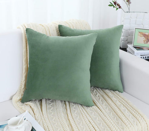 Jeneoo Set of 2 Comfy Soft Velvet Throw Pillow Covers for Sofa Couch Decorative Solid Square Cushion Cases for Bedroom Car (18 x 18 Inches, Sage G...