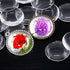 Swpeet 40Pcs & 20Pcs Round Tree Bezel Pendant Trays Kit with 20Pcs Glass Cabochon Clear Dome for Photo Pendant Craft Jewelry Making...