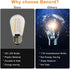 Banord 15 Pack Dimmable 2W S14 Replacement LED Bulbs, 2200K Waterproof Outdoor String Lights Vintage LED Filament Bulb, Shatterproof E26 Screw Bas...