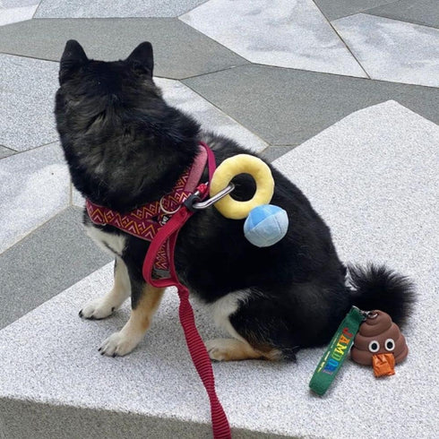 Squeak Plush Toy, Interested Diamond Ring Case, Stuffed Pet Chew Soft Pet Supplies Dog Toy for Dog Wedding...