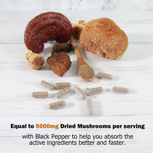 14 Mushrooms Supplement 120 Capsules - Immune System Booster & Nootropic Brain Supplement – with Lion’s Mane, Reishi, Maitake, Turkey Tail, Chaga ...