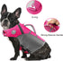 Dog Life Jacket, Reflective & Adjustable Dog Life Vest for Swimming & Boating, Ripstop Pet Safety Vest with Rescue Handle, High Buoyancy Dog Life ...