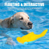 Dog Toy Floating Luminous, Squeaky Dog Toy, Glow in The Dark (Hammerhead Shark)...