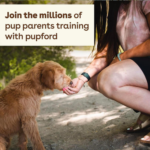 Pupford Freeze Dried Training Treats for Dogs & Puppies, 225+ Two Ingredient Bites (Salmon, 2 oz)...