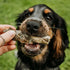 SKIPPER'S Cod Fish Skin Twists Dog Chews - 100% Fish Skin Grain Free Treats for Dogs, High in Protein & Low in Fat, Essential Omega 3 Oils | Great...