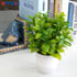 OFFIDIX Mini Plastic Artificial Eucalyptus Leaves Topiary Plant with Pots,Faux Plant Small Plants for Home,Office and Bathroom Decoration...
