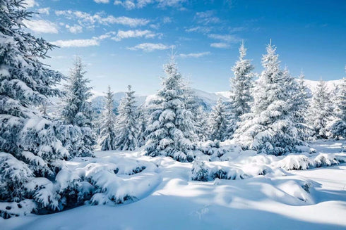 BELECO 5x3ft Fabric Winter Snow Forest Backdrop Majestic White Xmas Tree Wintry Scene Alps Photography Backdrop for Christmas New Year Event Party...