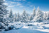 BELECO 5x3ft Fabric Winter Snow Forest Backdrop Majestic White Xmas Tree Wintry Scene Alps Photography Backdrop for Christmas New Year Event Party...
