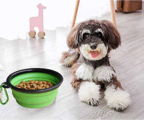 LINGYU Collapsible Dog Bowl, Silicone Foldable Expandable Cup Dish, for Pet Dog/Cat Food Water Feeding Portable Travel Bowl - Green...