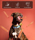 Chicken Slices, Real Chicken, 16OZ, Training Reward Snacks, Rawhide-Free, Dog Pet Food...