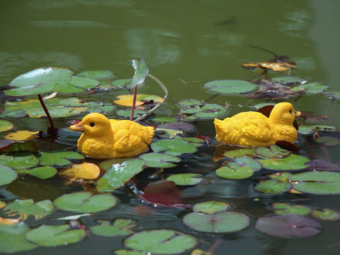 Floating Resin Duck Figurine Pond Décor Garden Lawn Patio Outdoor Statue Yellow (Set of 2)...