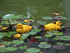 Floating Resin Duck Figurine Pond Décor Garden Lawn Patio Outdoor Statue Yellow (Set of 2)...