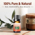 2 Pack 100% Natural Pure Geranium Essential Oils Undiluted Geranium Oils for Aromatherapy Diffuser (0.33 Fl Oz 2 Pack)...
