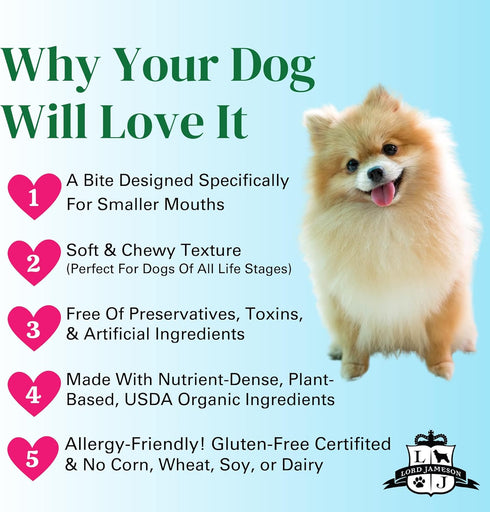 Very Berry 3oz - Small Breed Dog Treats - Soft & Chewy, Antioxidant Rich, Training & Little Rewards...