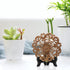 Petutu 6 Pack 4 Inch Wooden Display Stand Plate Easels Holder (Black)...