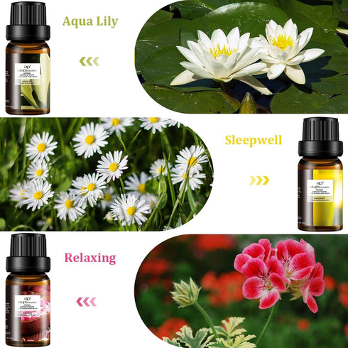Floral Essential Oil Set, 6x10ml Aromatherapy Gift Kit for Diffuser, Humidifier, DIY Candle, Air Purifier...