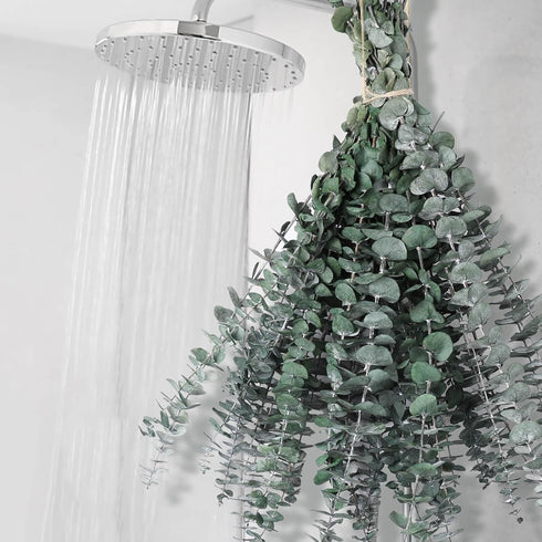 12 PCS Dried Eucalyptus Bundle for Shower - 17" Large Preserved Eucalyptus Stems Shower Plant, Fresh Real Eucalyptus Leaves for Shower Hanging, Ar...