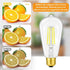 Vintage LED Edison Light Bulbs Dimmable 6W, Equivalent 60W Incandescent, ST58 Antique LED Bulb Daylight White 5000K, LED Filament Bulb E26 Base, C...