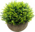 Mini Fake Cypress Cedar Plants for Bathroom Home Office Desk Decor, Small Artificial Faux Greenery for Farmhouse Decorations (Potted Plants) (1)...