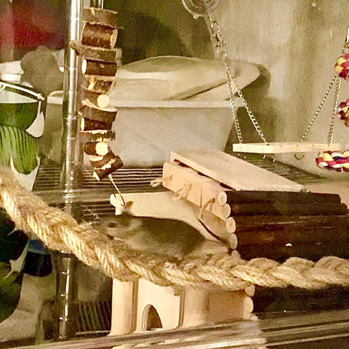 2 Pack 25.6" Hermit Crab Climbing Toys, Hanging Hermit Crab Rope Ladder, Hermit Crab Supplies, Reptile Vines Toys, Reptile Tank Terrarium Accessor...