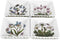 Portmeirion Botanic Garden 3" Mini Square Dish (Set of 4), Assorted Florals Motif - Durable Porcelain with Chip-Resistant Glaze, Dishwasher, Micro...