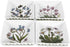 Portmeirion Botanic Garden 3" Mini Square Dish (Set of 4), Assorted Florals Motif - Durable Porcelain with Chip-Resistant Glaze, Dishwasher, Micro...