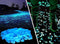 100 Pcs Glow in The Dark Garden Pebbles for Walkways and Decor in Blue...