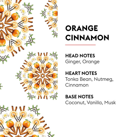 MAISON BERGER 200ml/6.76 fl. oz. Orange Cinnamon Reed Diffuser Refill, Clear...